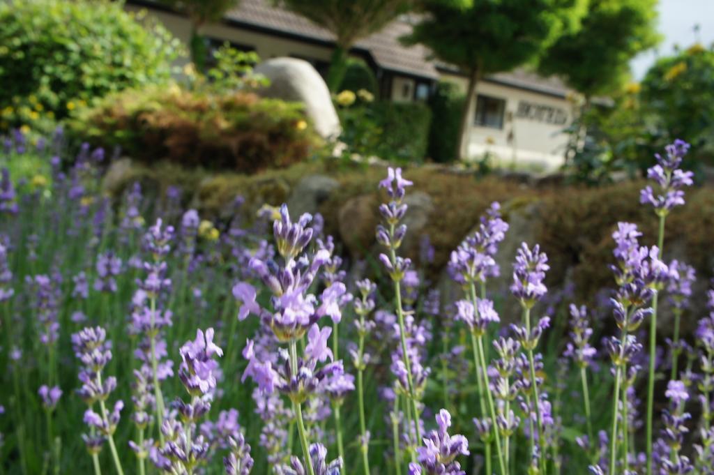 Lyng Dal Hotel og Restaurant Ry Bagian luar foto