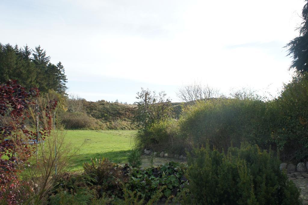 Lyng Dal Hotel og Restaurant Ry Bagian luar foto